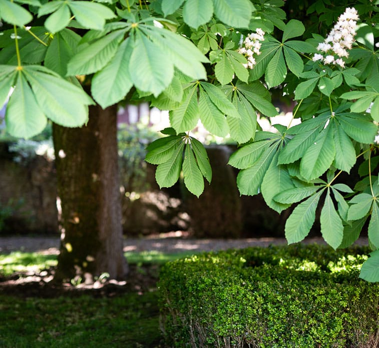 https://www.chez-agnes-normandie.fr/app/uploads/2023/08/exterieur_chez_agnes4.jpg